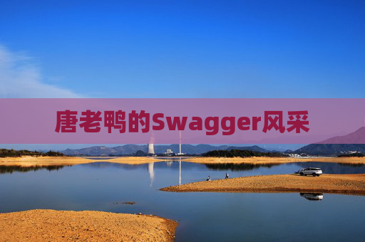 唐老鸭的Swagger风采